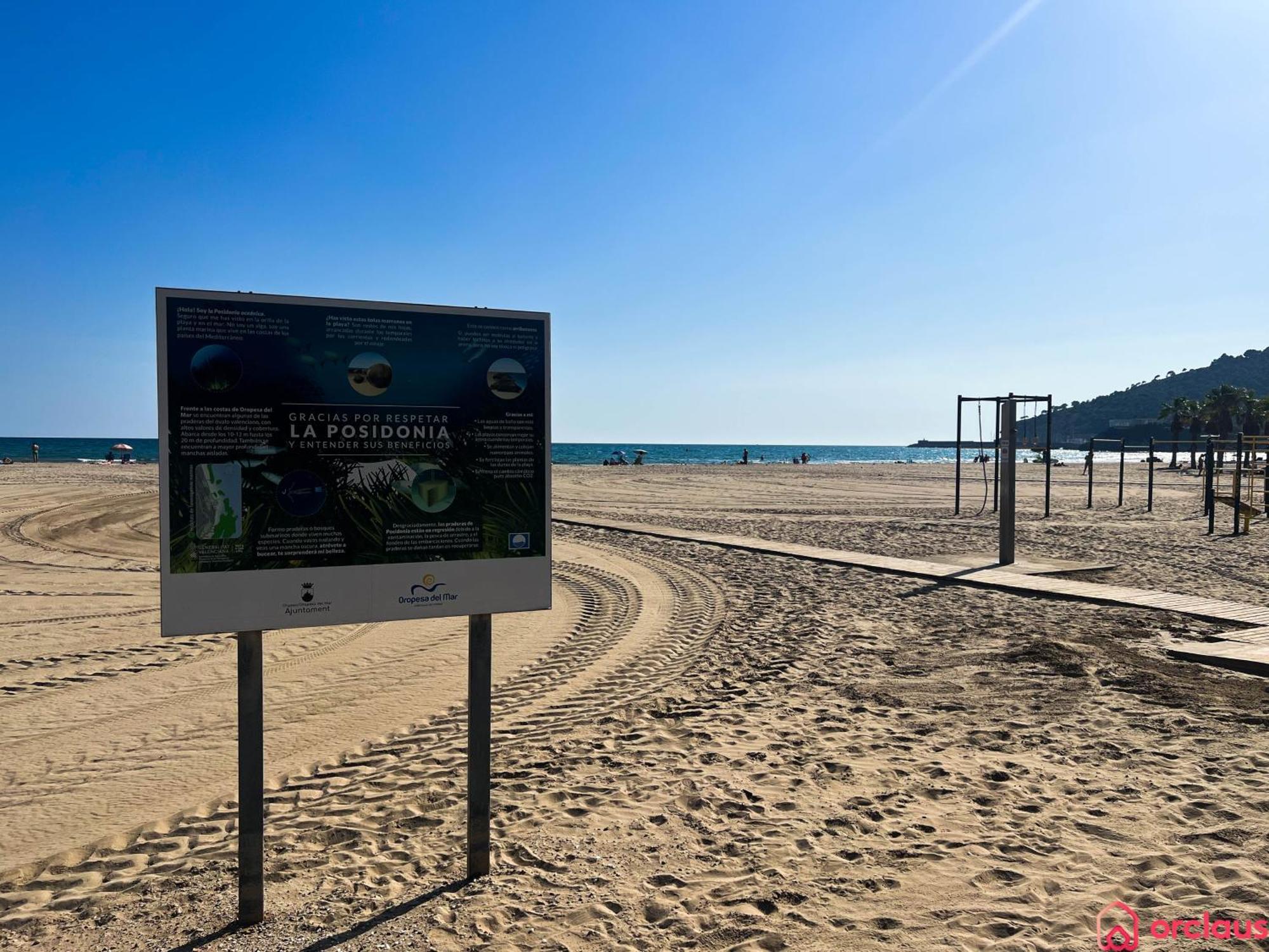 El Paraiso En Playa Concha Oropesa del Mar Εξωτερικό φωτογραφία